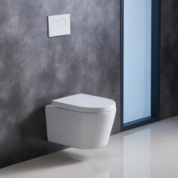 wall hung toilet bowl with conceal cistern