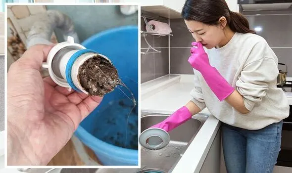 Foul Smells Coming from Your Drains