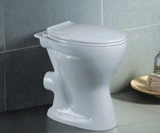 P-Trap Toilet Bowl