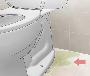 Toilet Bowl Leak