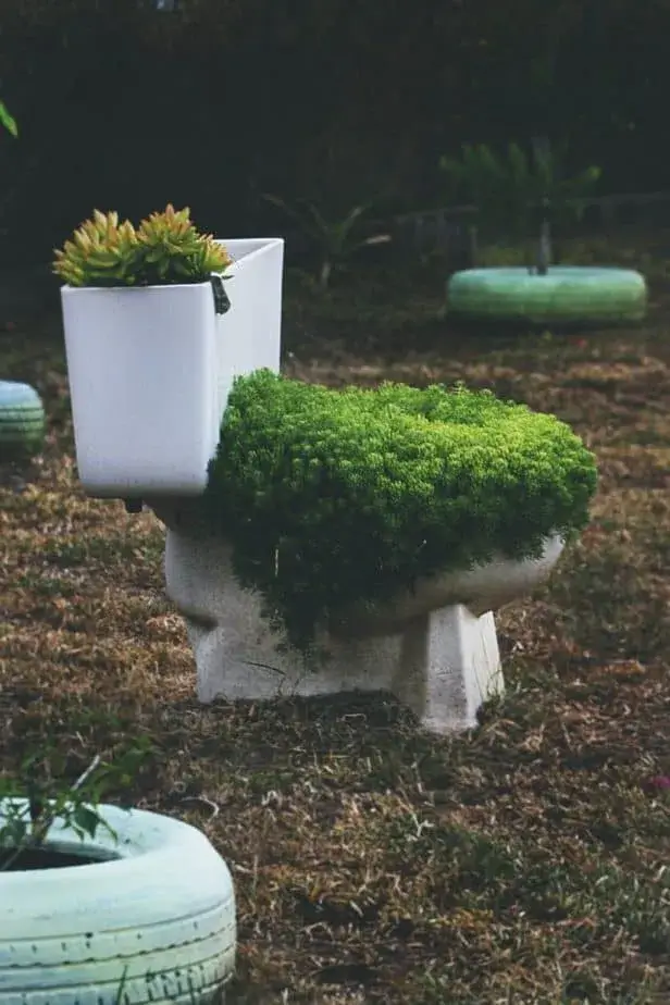 toilet bowl choke Trees or Plants